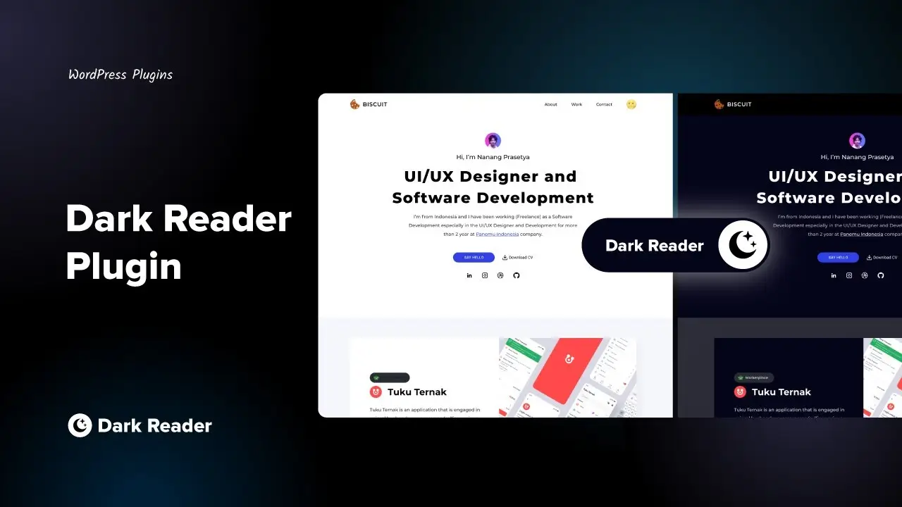 darkreader