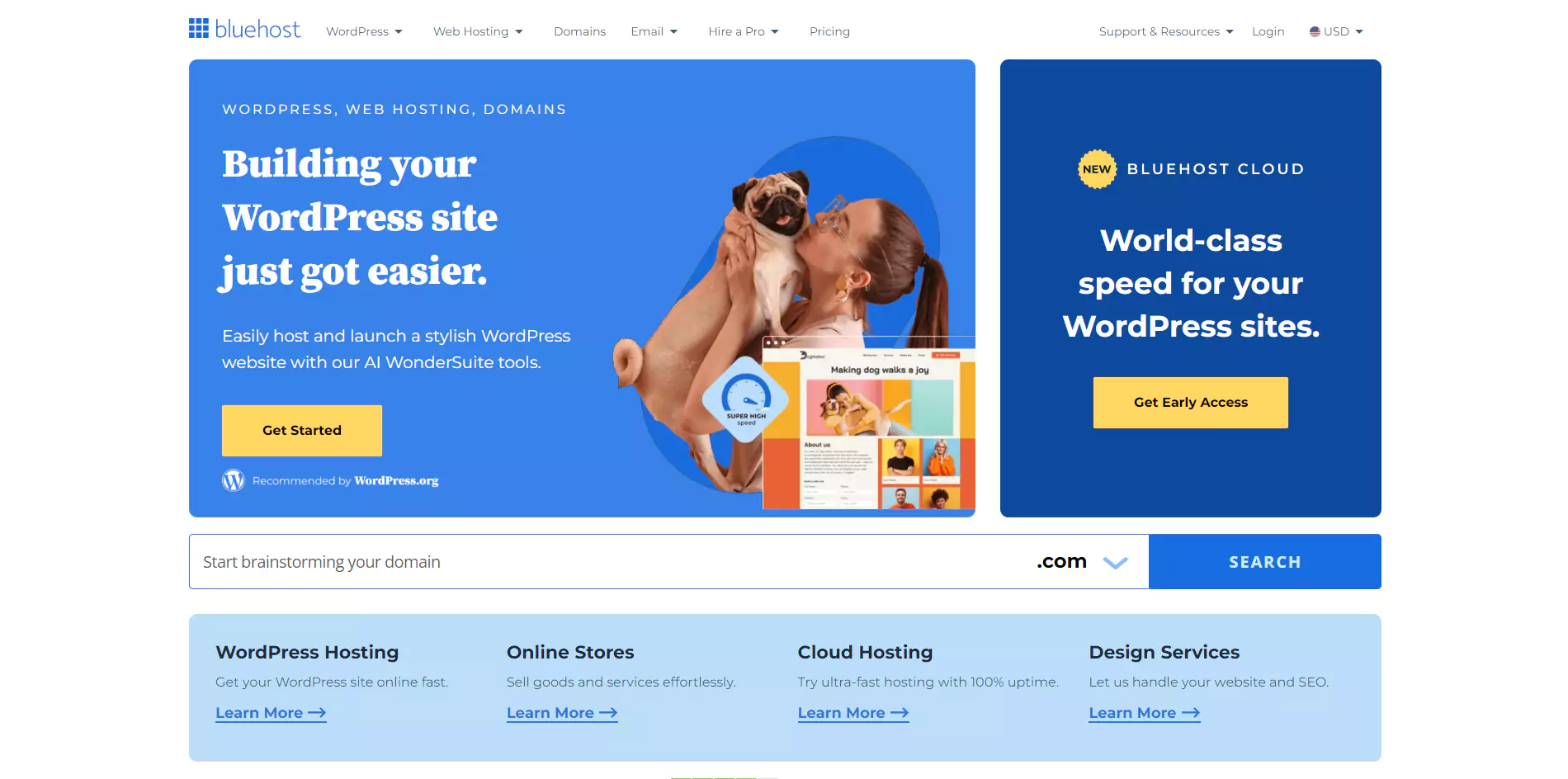 Bluehost home page Banner