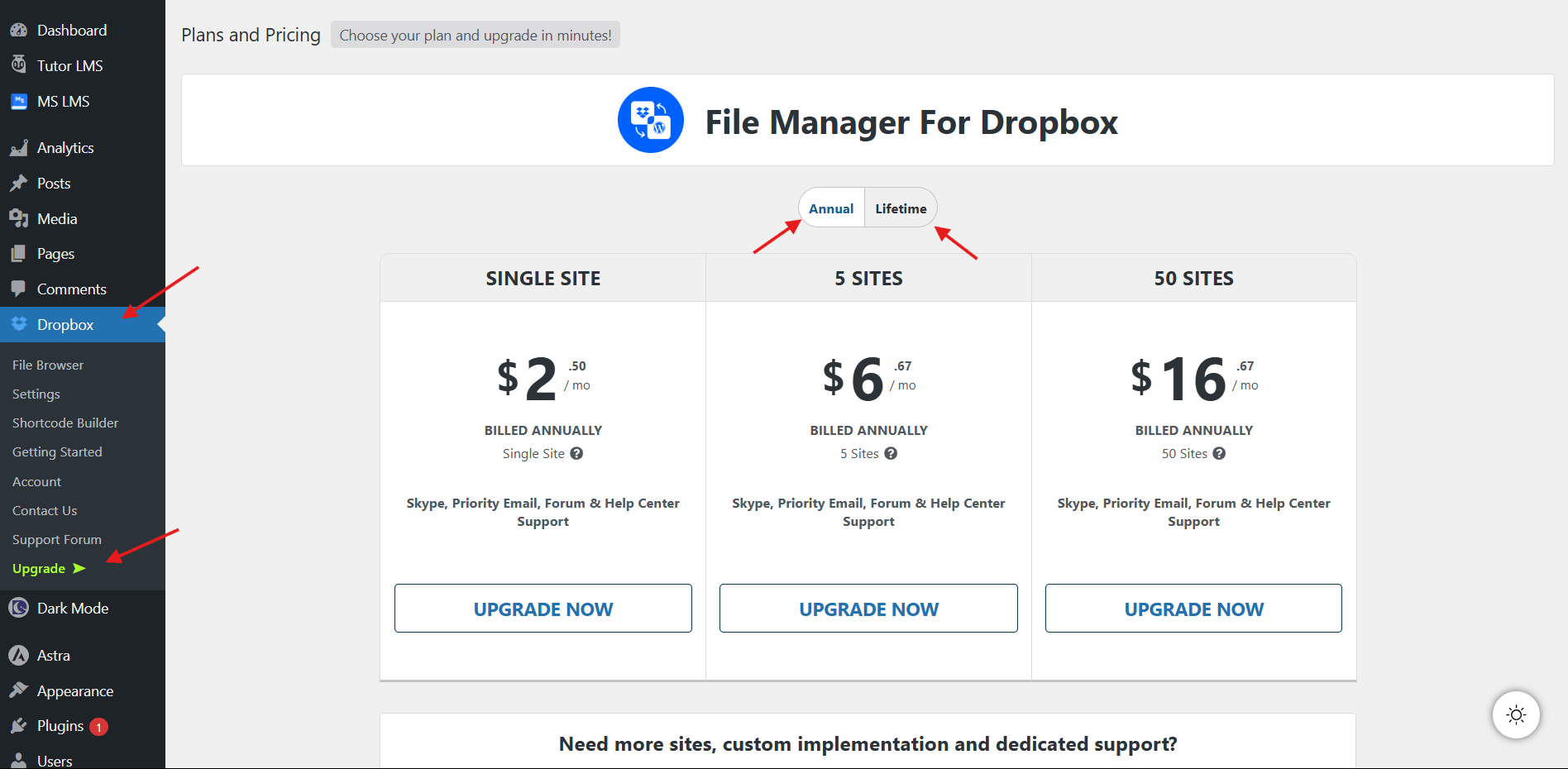 Upgrade the Plugin