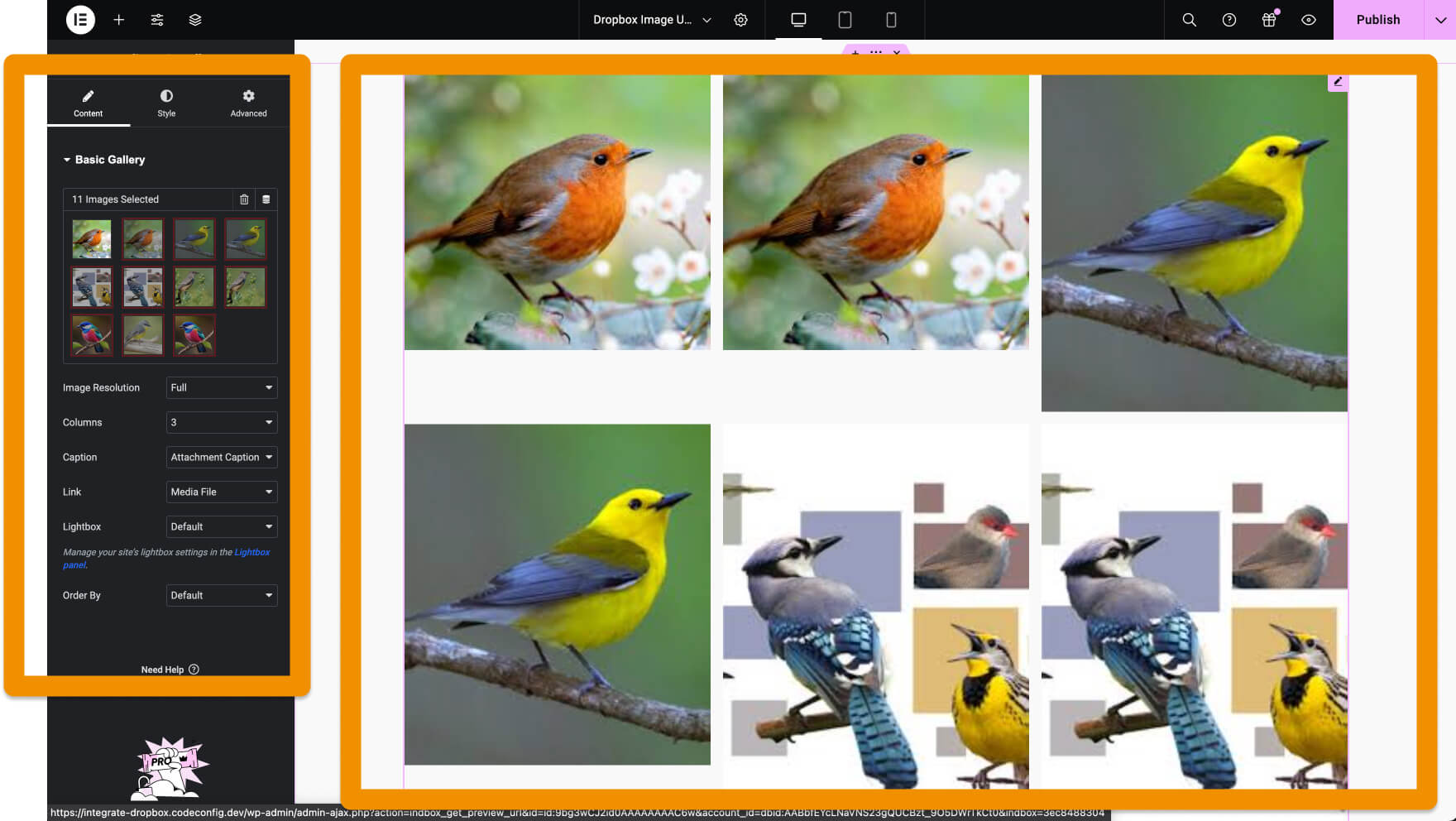 Elementor widget and selected images from Elementor | Display Dropbox Photos