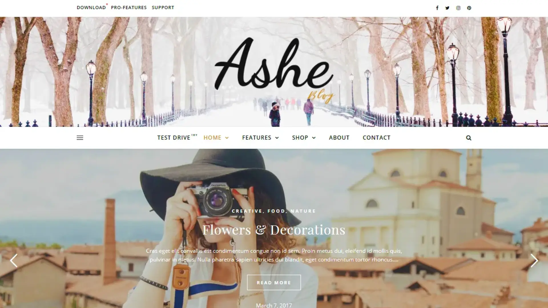 Best WordPress Themes for Blogging Ashe