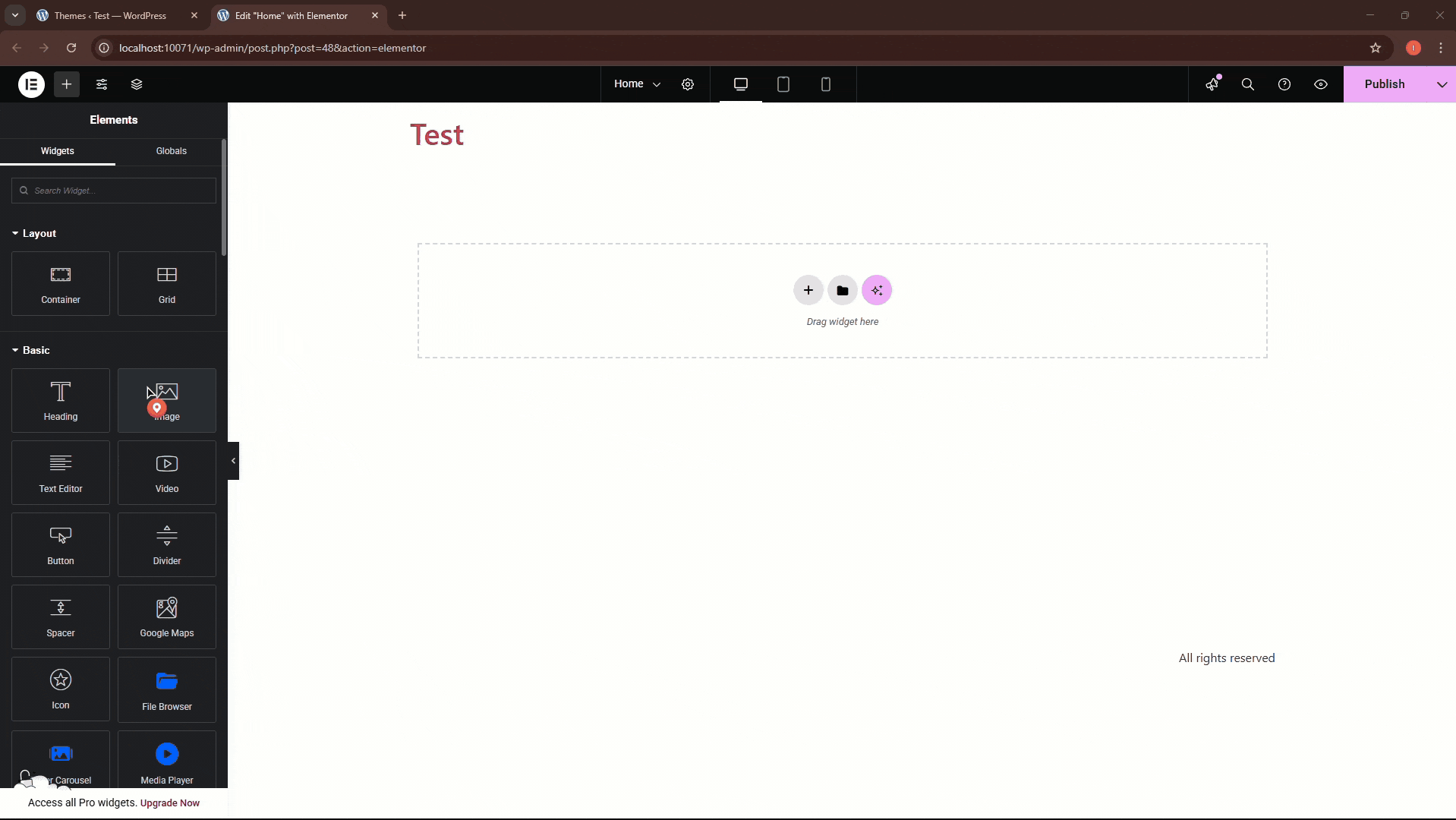 Dropbox File Use in elementor manual