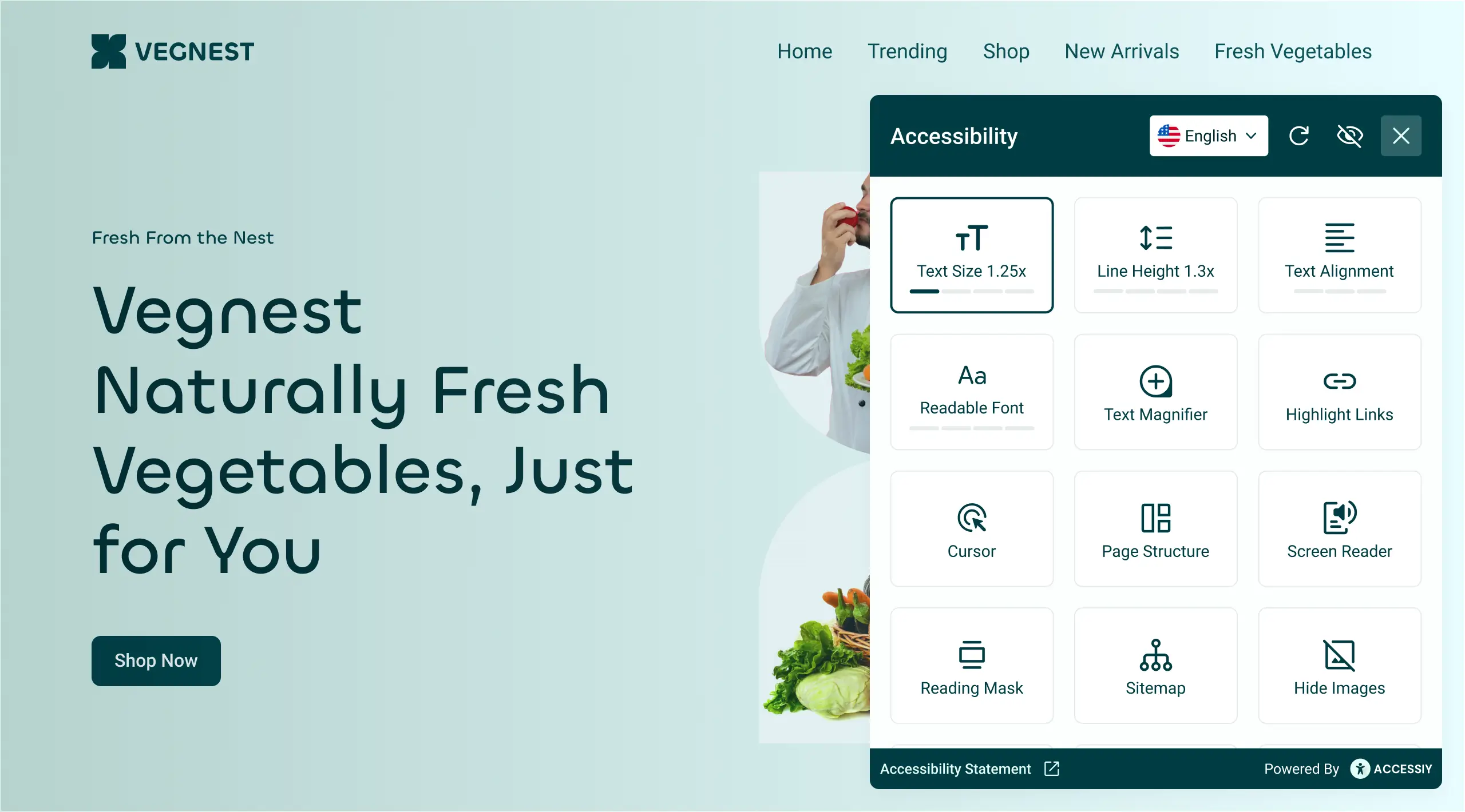 #1 Accessibility Plugin For WordPress