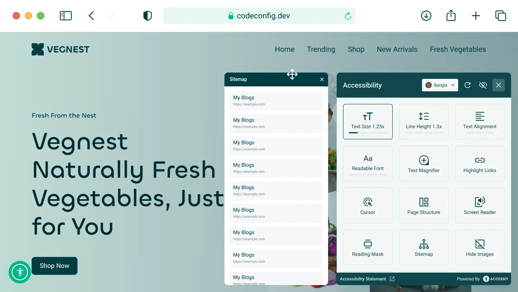 What is accessibility: Accessibility awesome sitemap