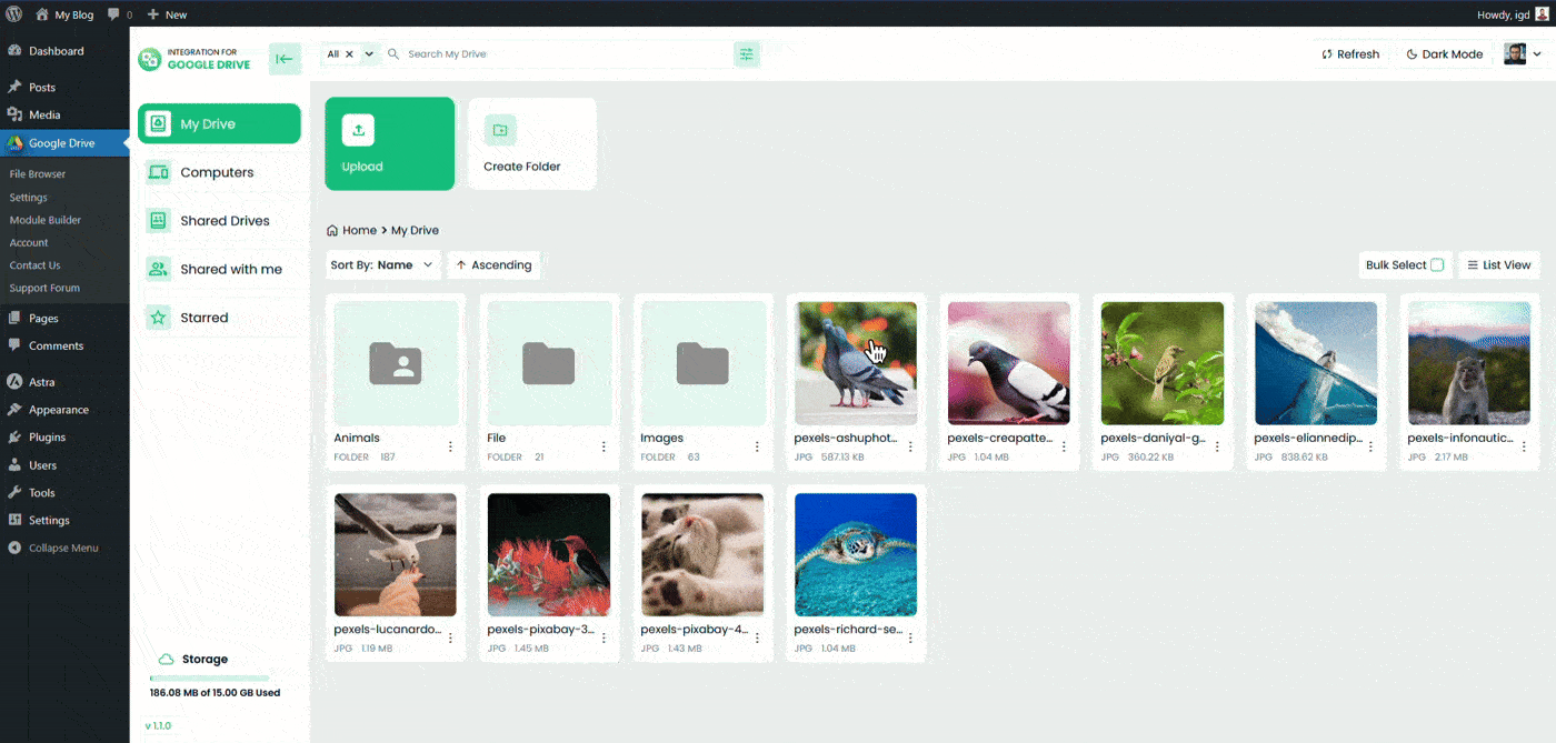 Integration For Google Drive File & Folder Actions
