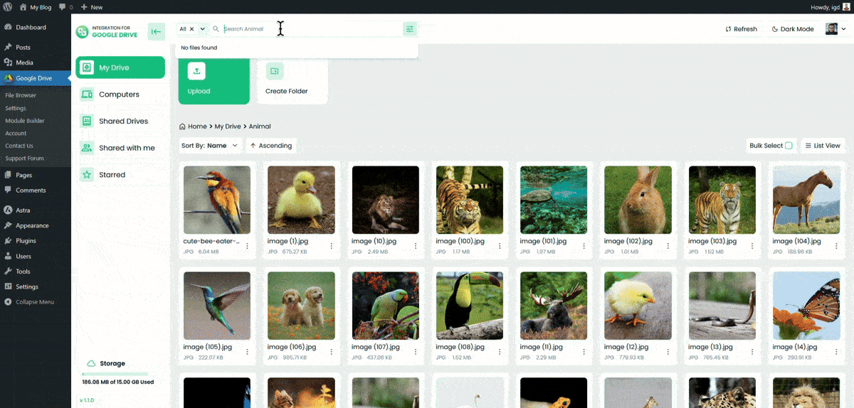 Integration For Google Drive Search Functionality