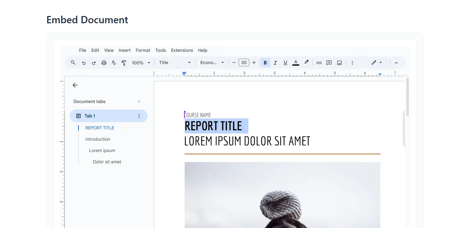 Choose Google Drive Embed Document Module In WordPress