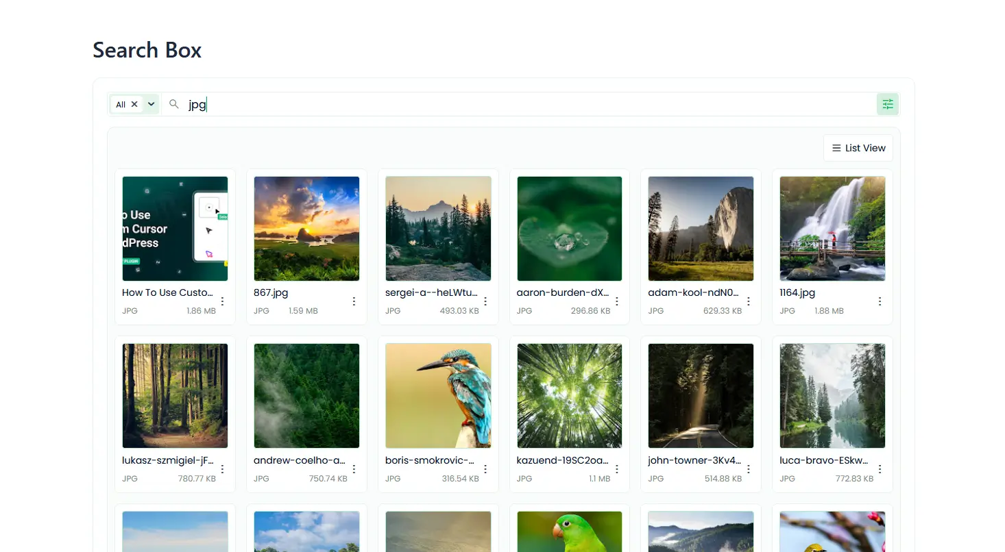 Google Drive Search Box Module In WordPress Output